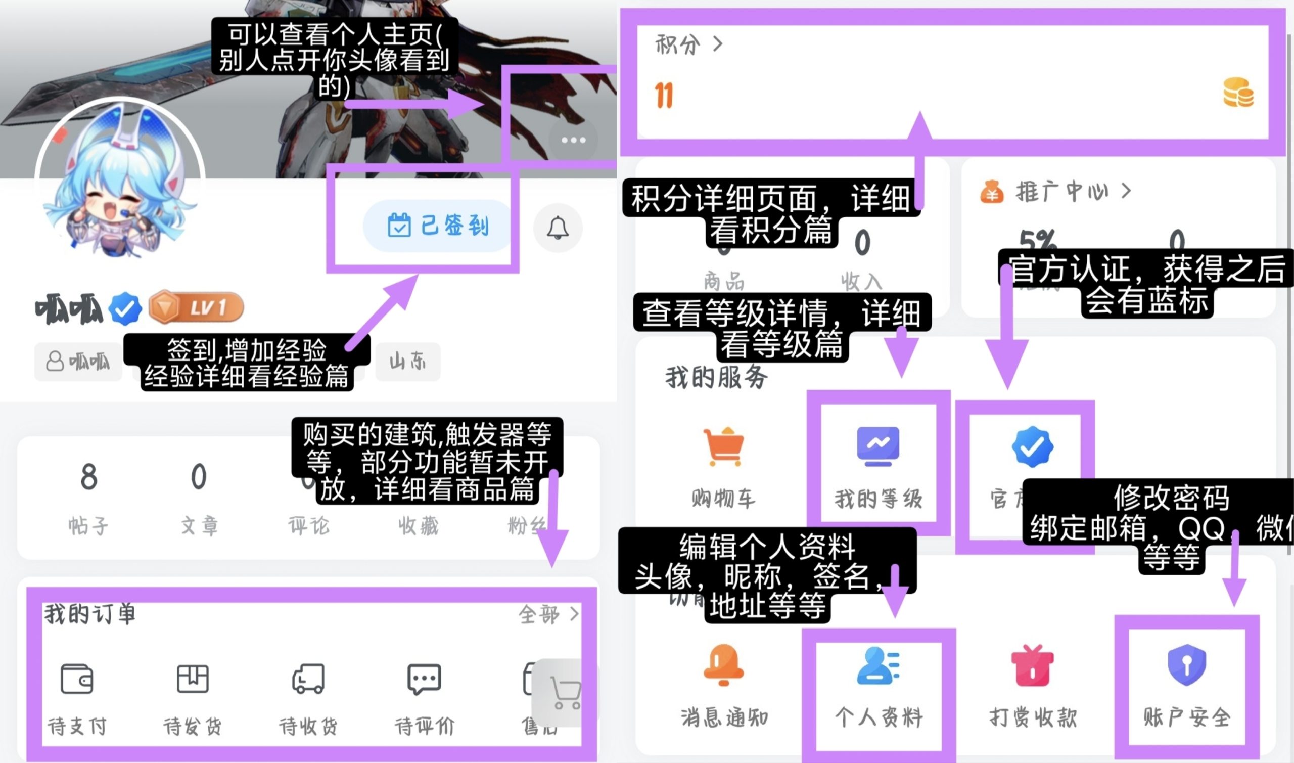 10秒教会你个人主页功能小知识-辉月官网