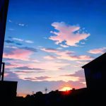 和迷159的头像-辉月官网